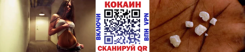 Купить закладки  Советск  COCAIN Эквадор 