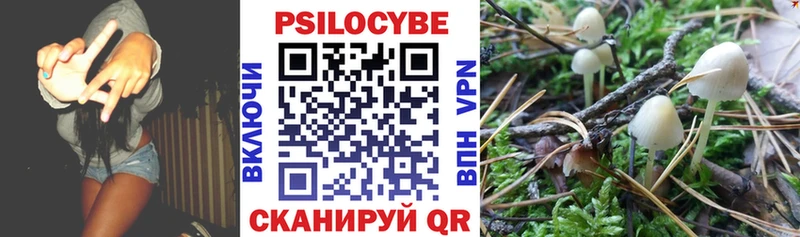 Купить закладки Советск Галлюциногенные грибы мицелий